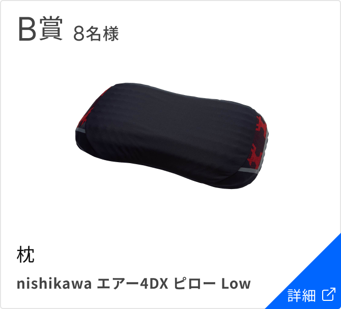 B賞 8名様 枕 nishikawa エアー4DX ピロー Low
