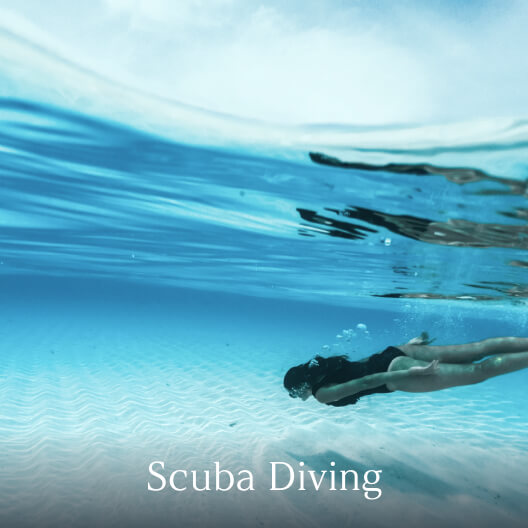 Scuba Diving